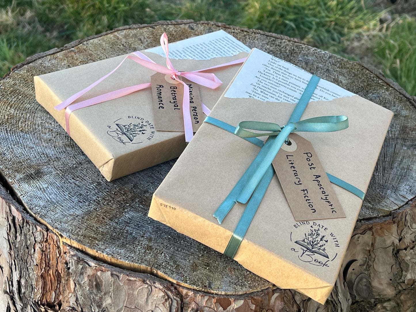 Non-Fiction Edition - Blind Date With A Book